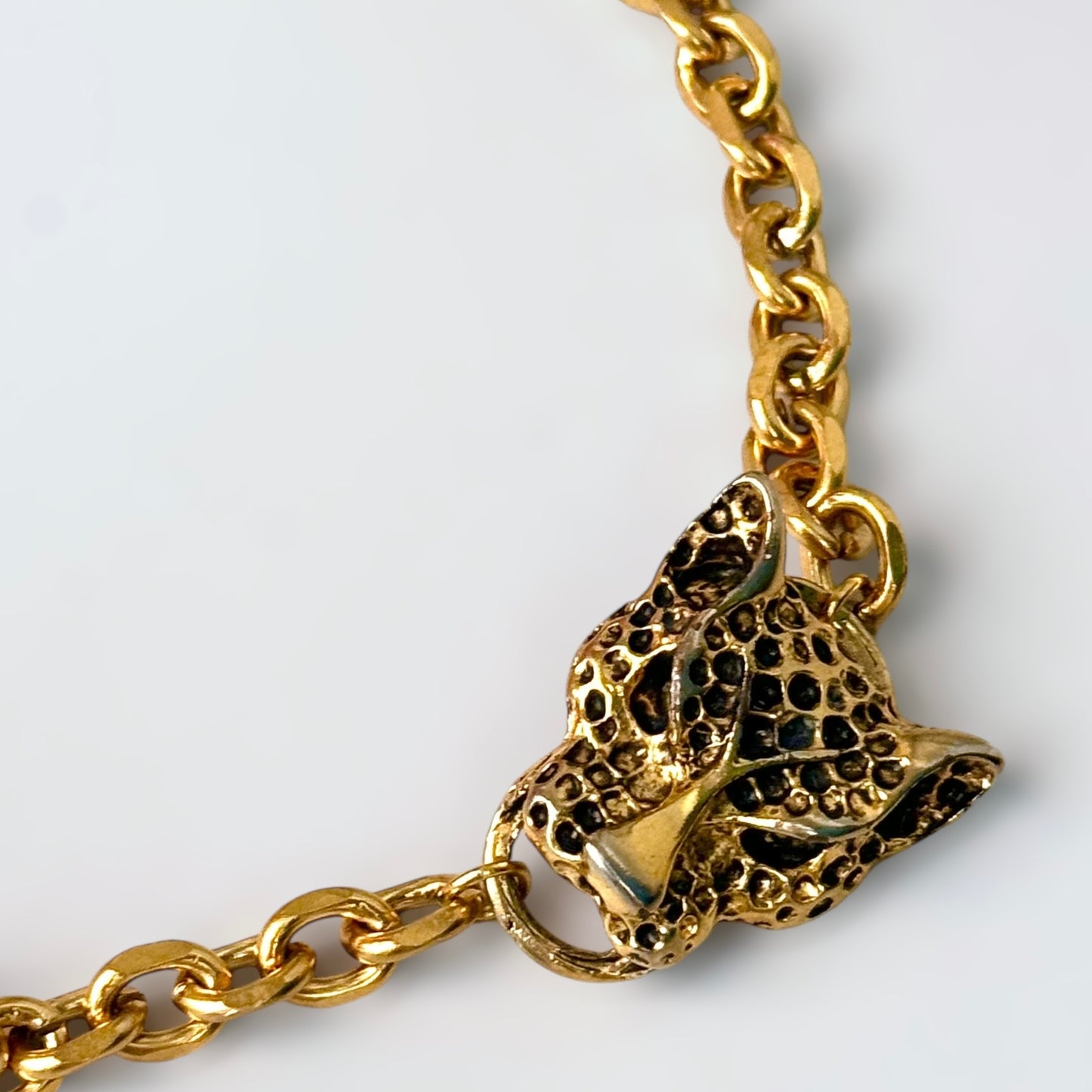 Collier tigre